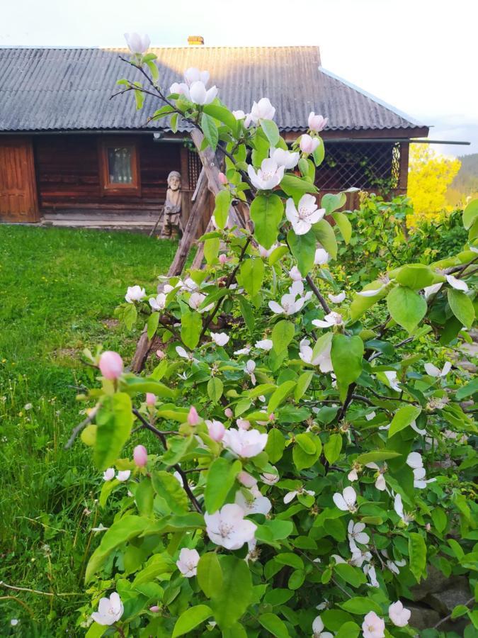 Starovitska Hata - Ethno-Cottage Верховина Екстер'єр фото
