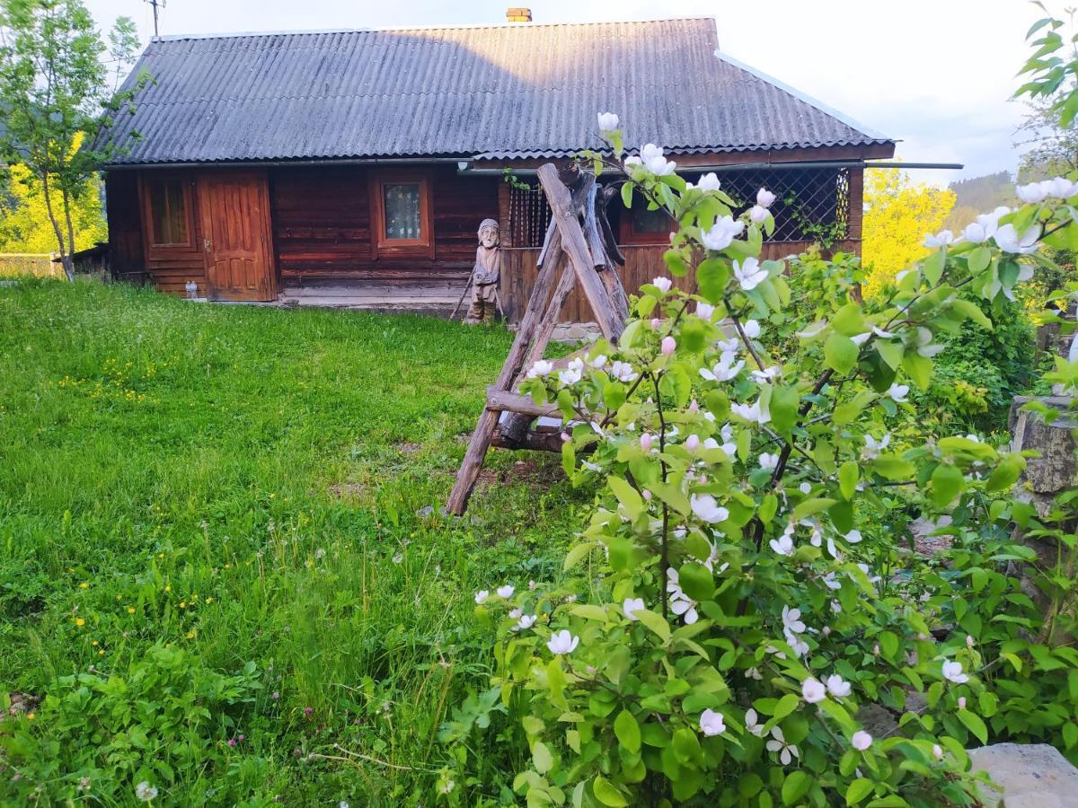 Starovitska Hata - Ethno-Cottage Верховина Екстер'єр фото