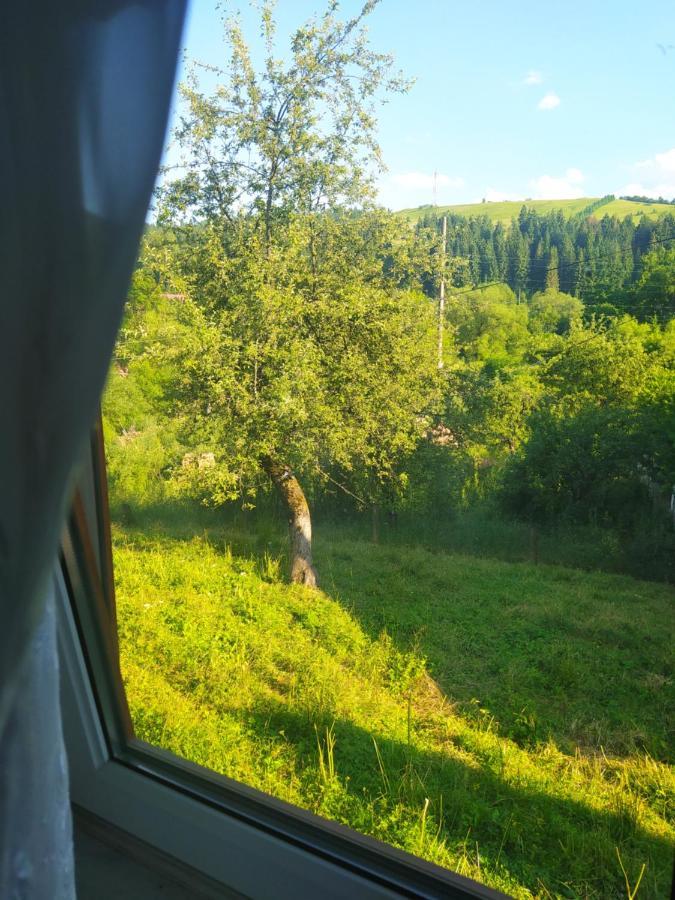Starovitska Hata - Ethno-Cottage Верховина Екстер'єр фото