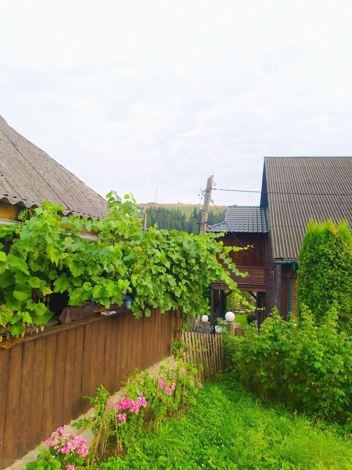 Starovitska Hata - Ethno-Cottage Верховина Екстер'єр фото