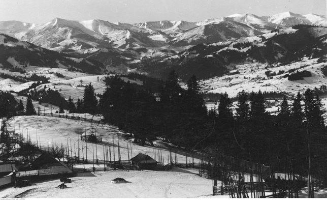 Starovitska Hata - Ethno-Cottage Верховина Екстер'єр фото